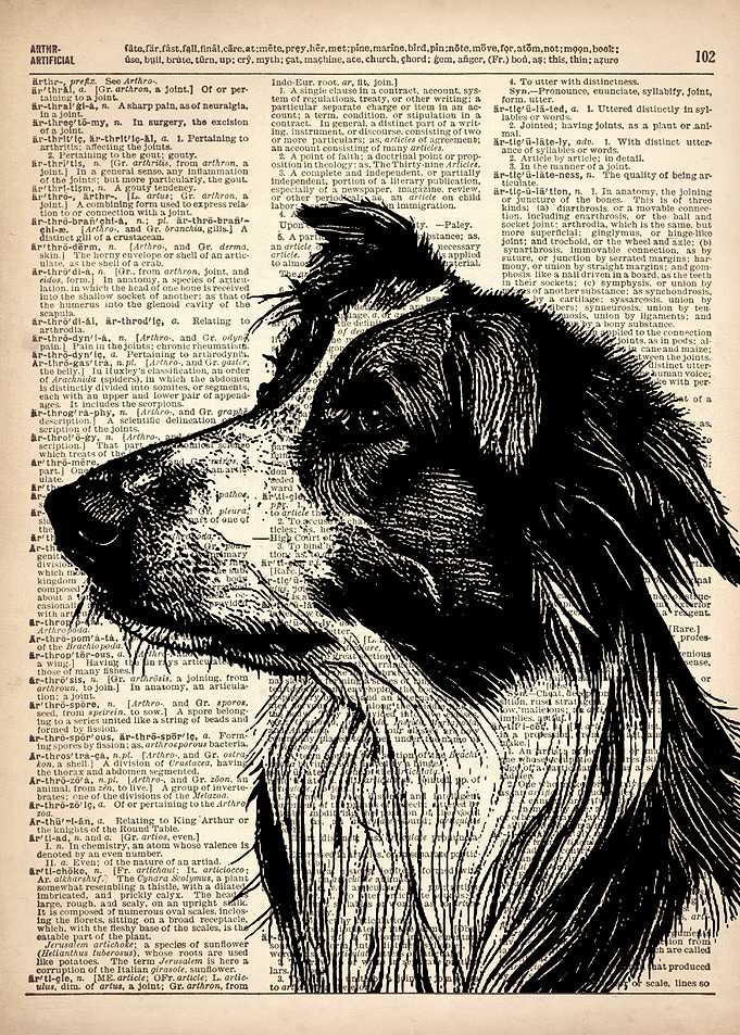 Shepherd DOG ILLUSTRATION