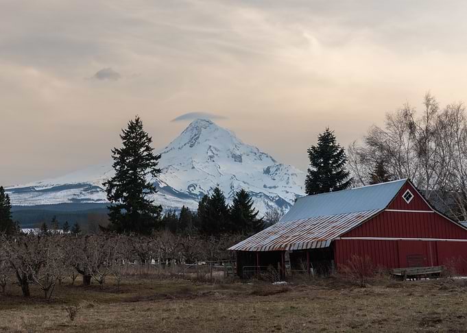 Mt Hood and red barn