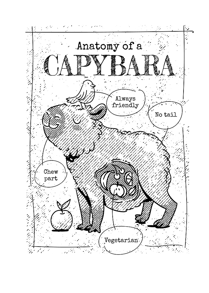Tote Cute Capybara Anatomy