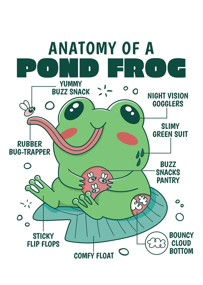 Pond Frog Anatomy