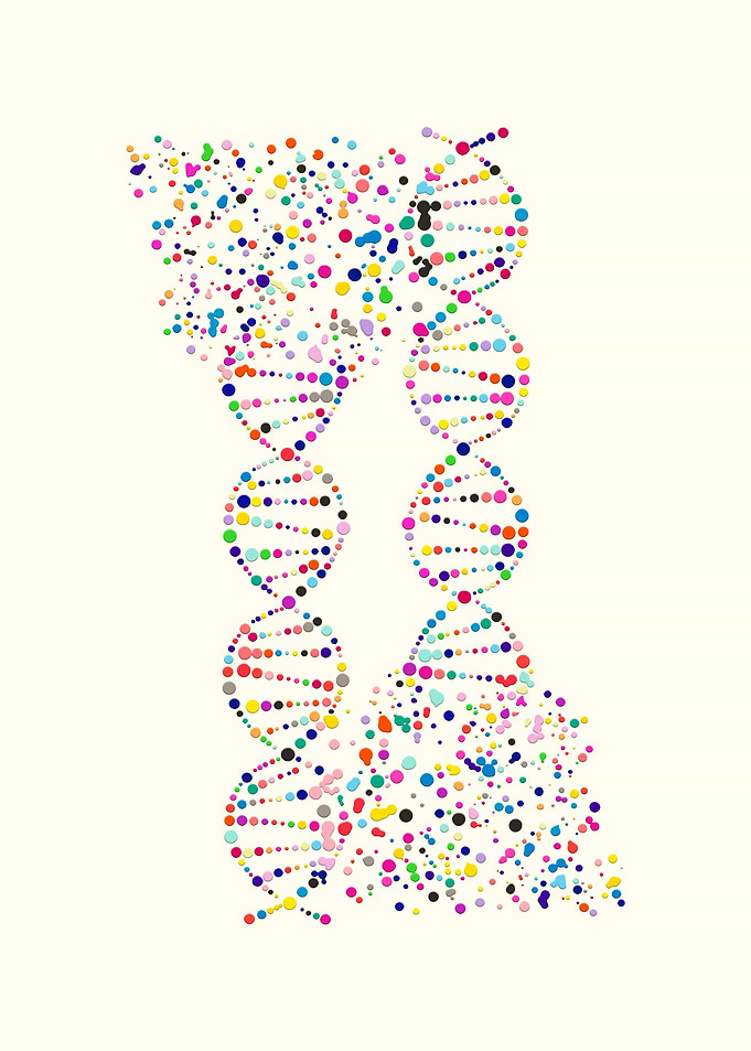Dna Art Print Double Helix