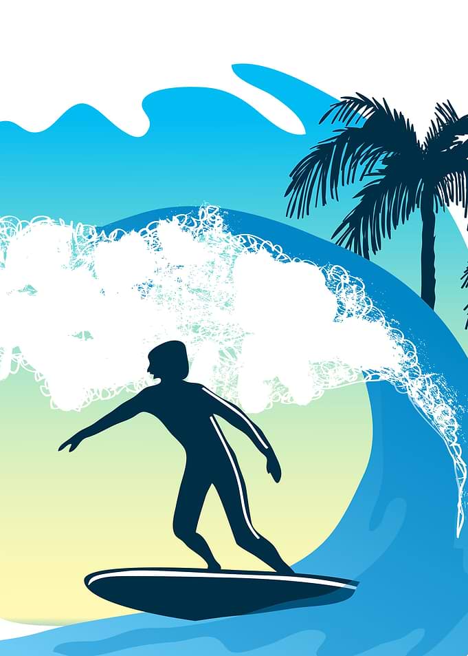 SURF AND SKATE