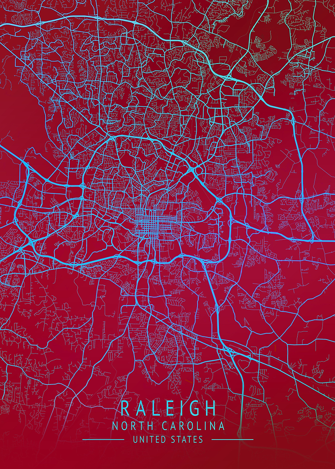 Raleigh USA City Map