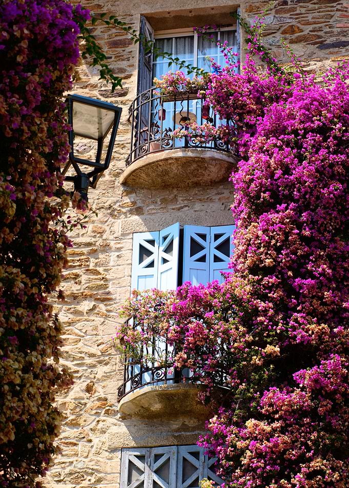 Bormes Les Mimosas