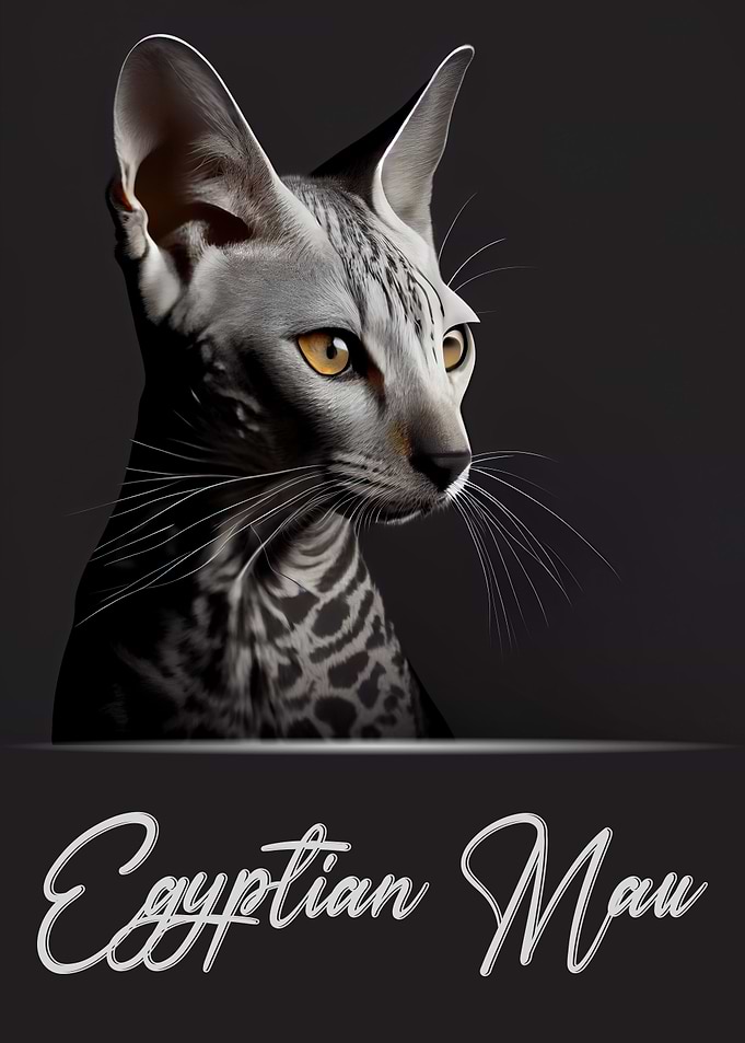 Egyptian Mau