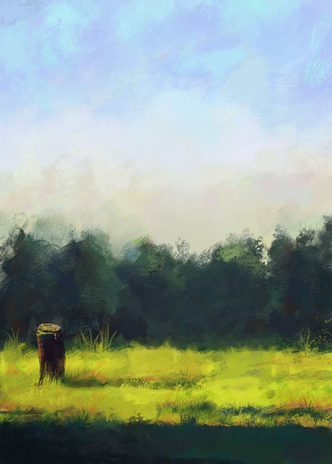 Evening Field