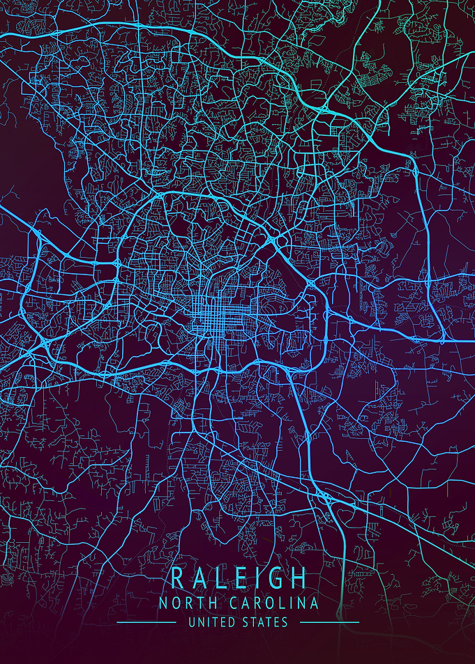 Raleigh USA City Map
