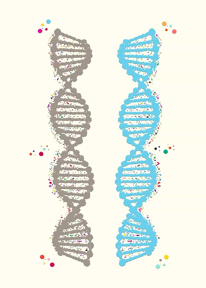 Dna Double Helix