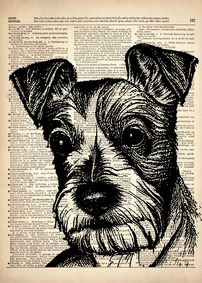 Terrier DOG ILLUSTRATION