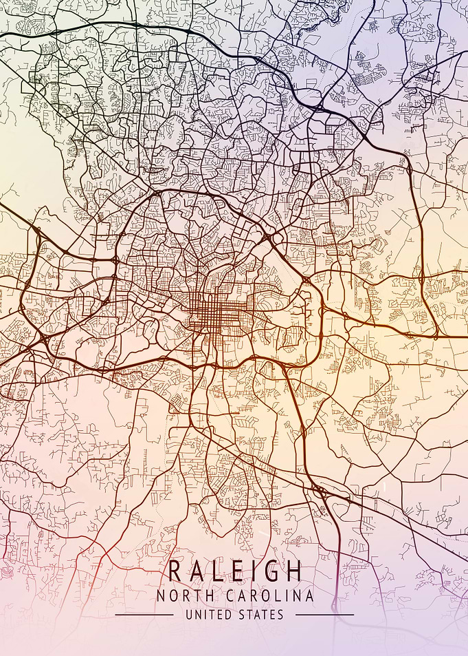 Raleigh USA City Map