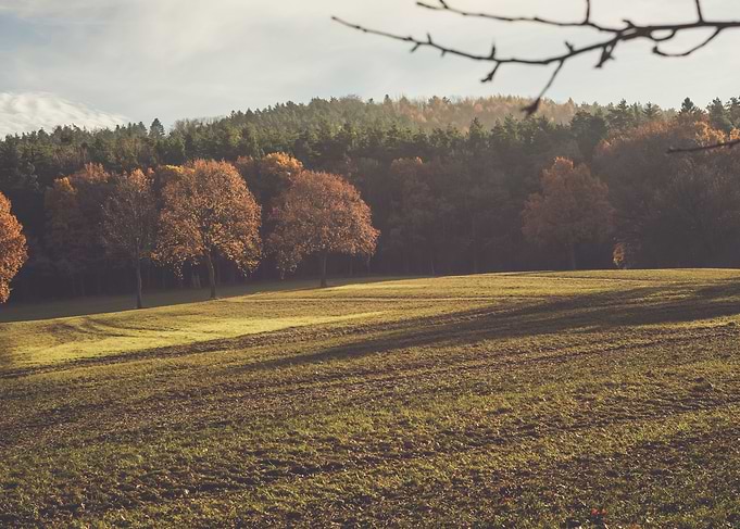 Autumn Landscape
