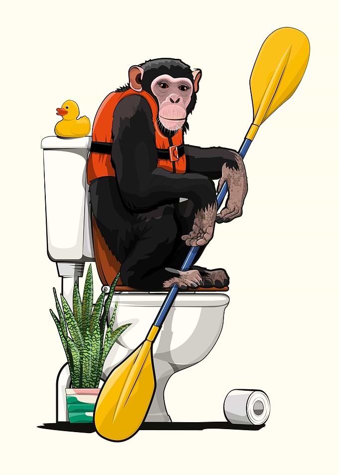 Chimpanzee using Toilet