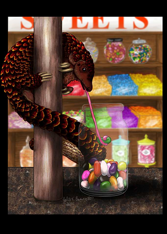 Beanz The Pangolin
