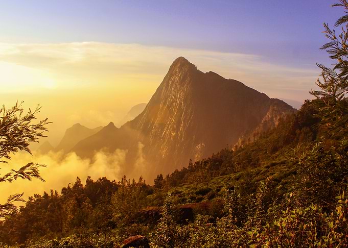 MISTY MOUTAIN