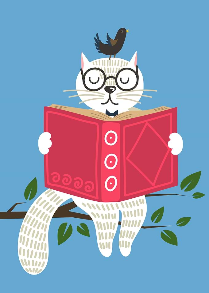 Cat reading book
