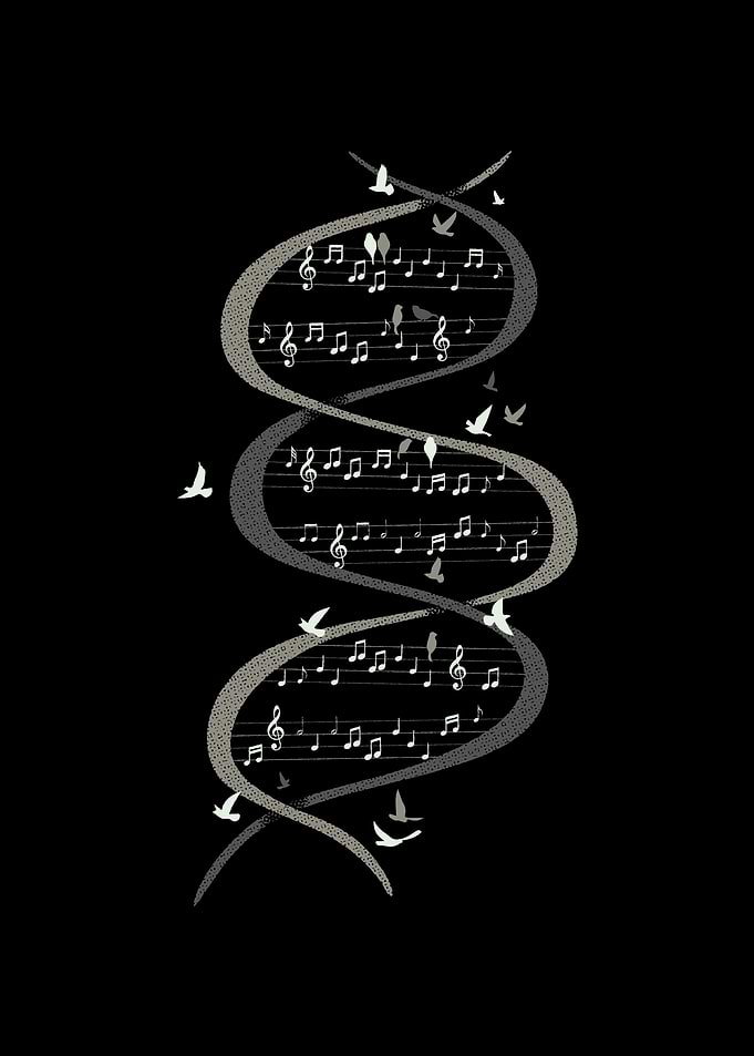 Musical DNA Birds