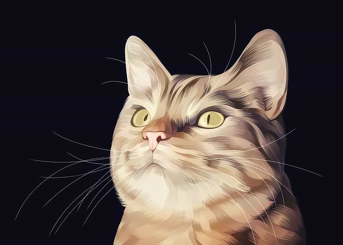 Cat 2