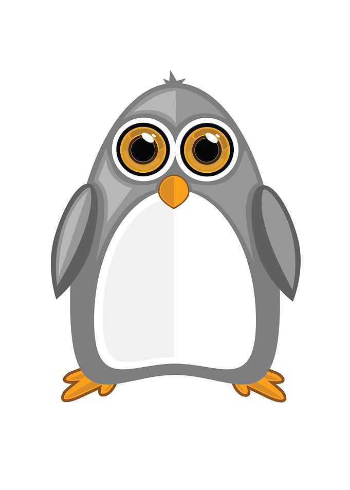 Grey Penguin