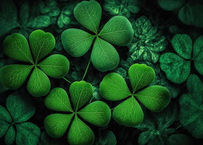 Four Leaf Clover