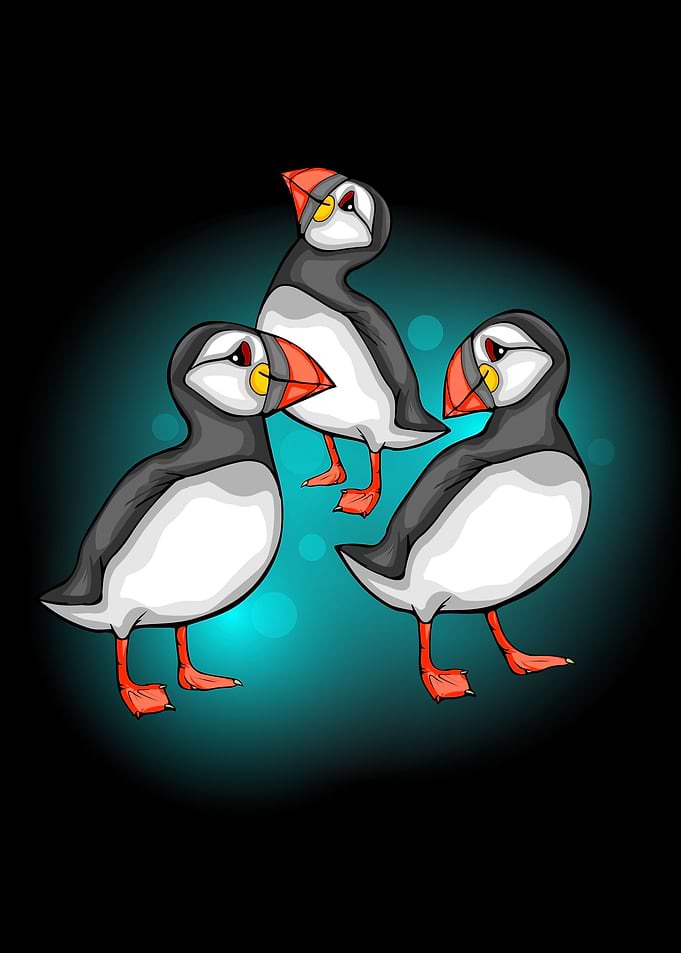 Atlantic Puffin Bird Lover