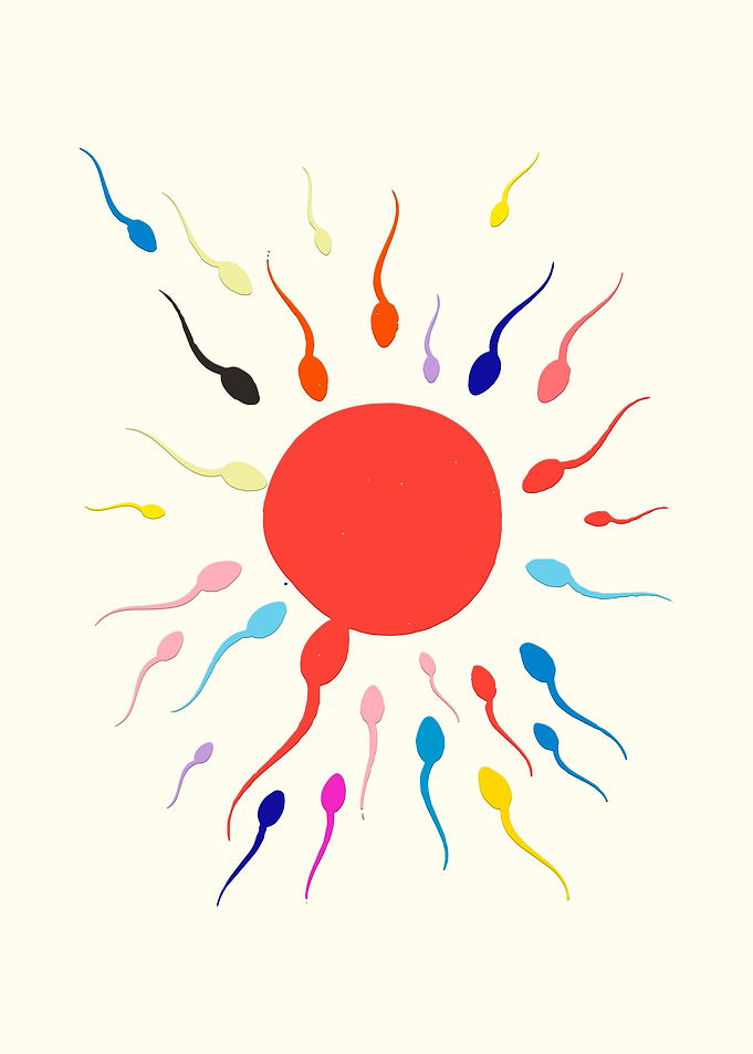 Human fecondation