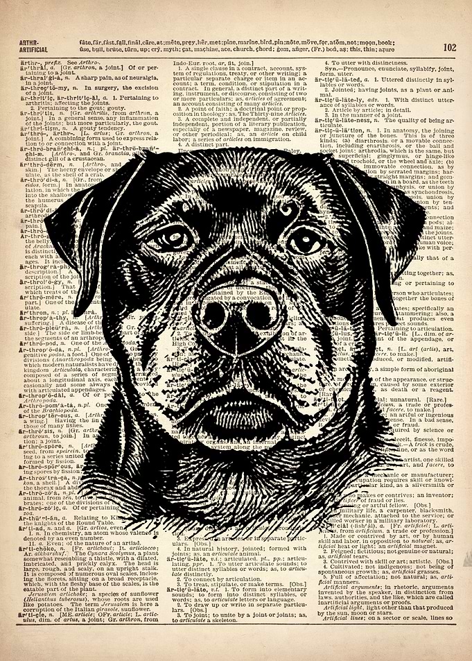 Rottweiler DOG art