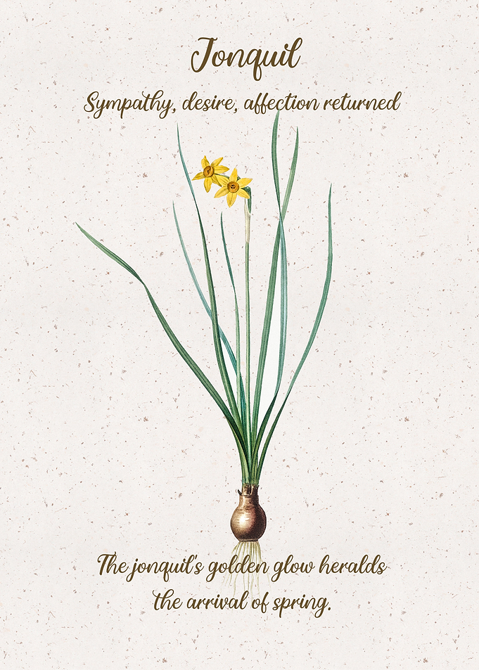 Jonquil Flower Language