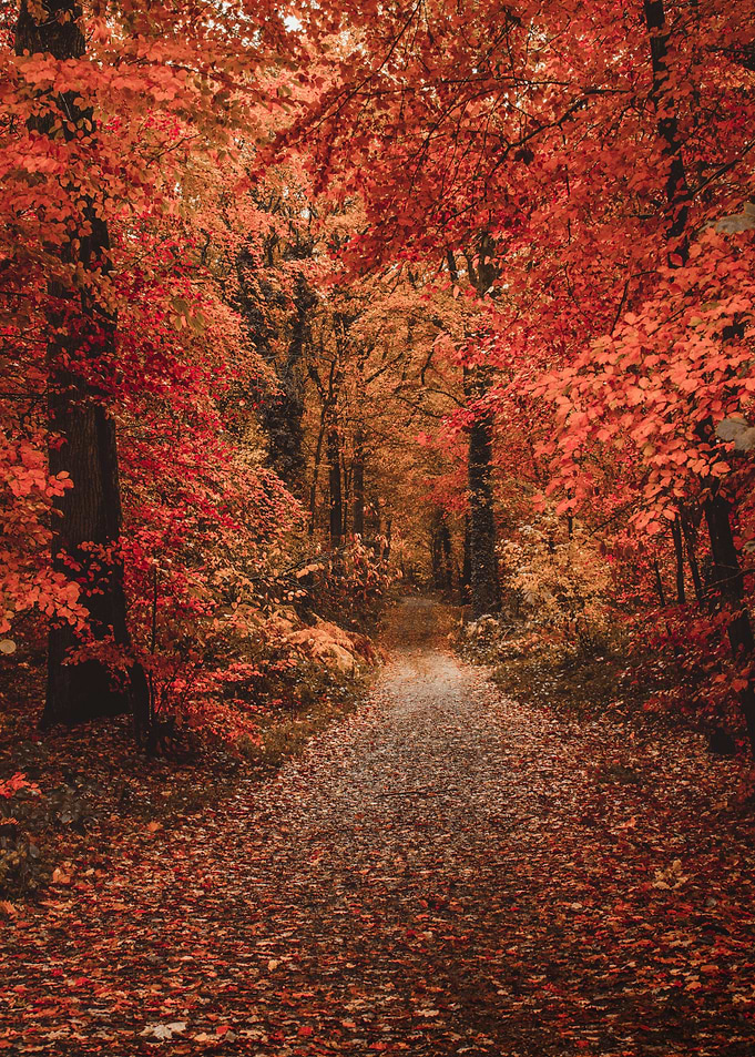 Autumn