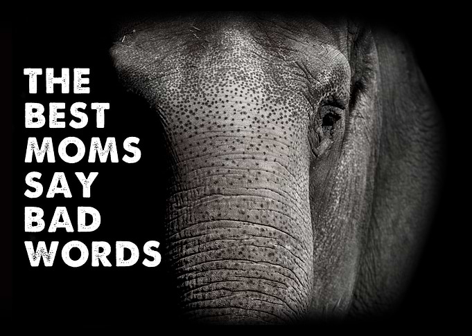 The best moms say bad word