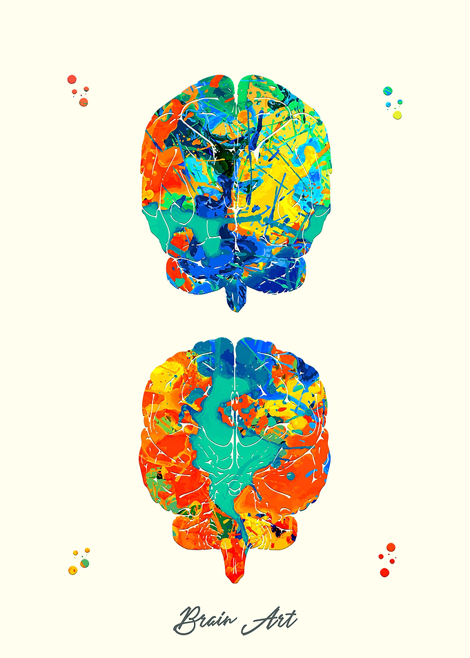 Brain