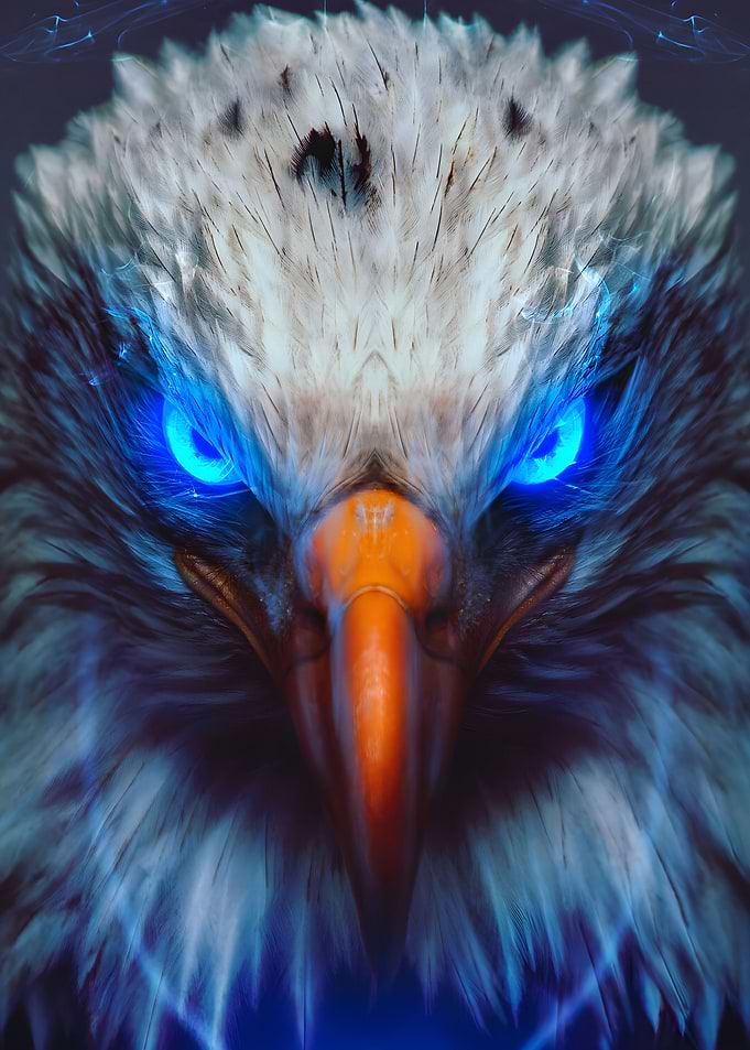 The Blue Eyes