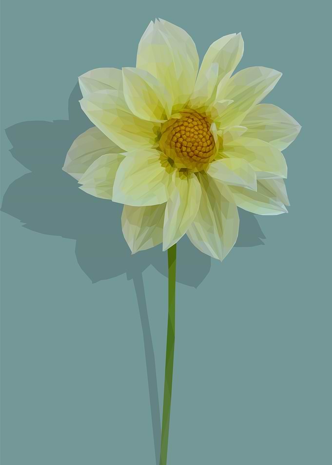 Low Poly Yellow Dahlia