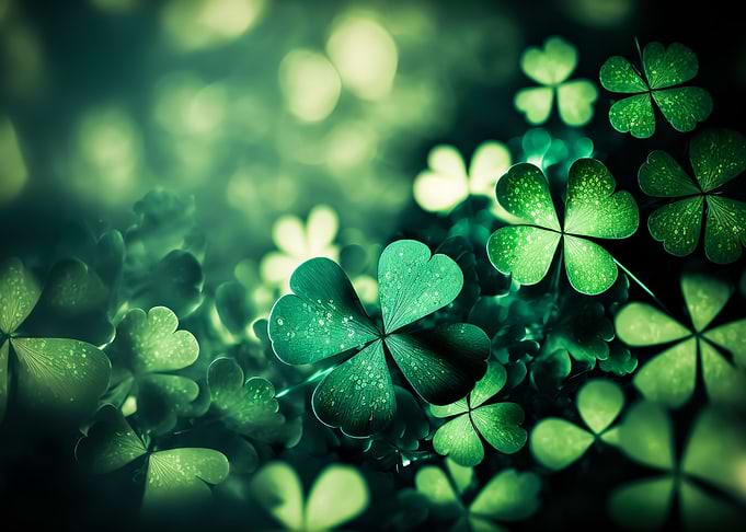 Four Leaf Clover