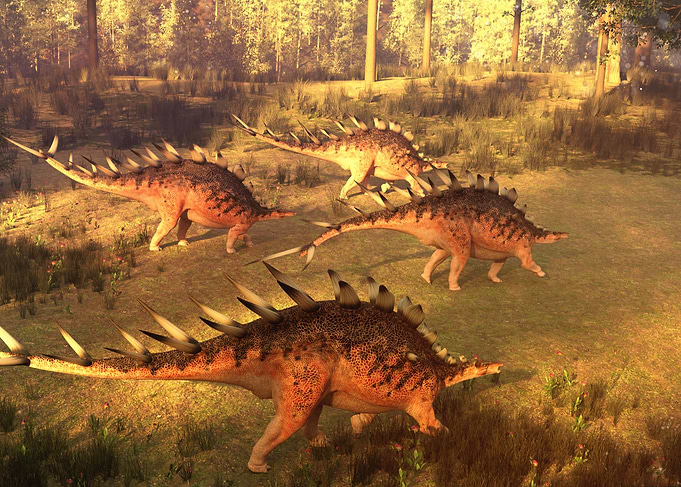 Stegosaurus dinosaur herd