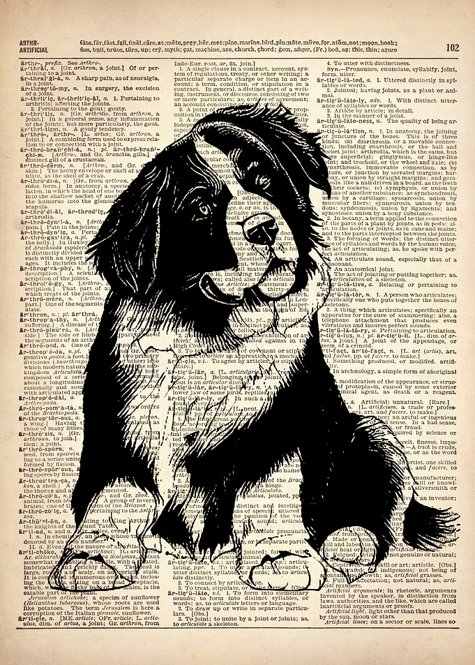 Bernese Mountain dog art