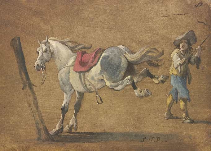A white horse kicking out