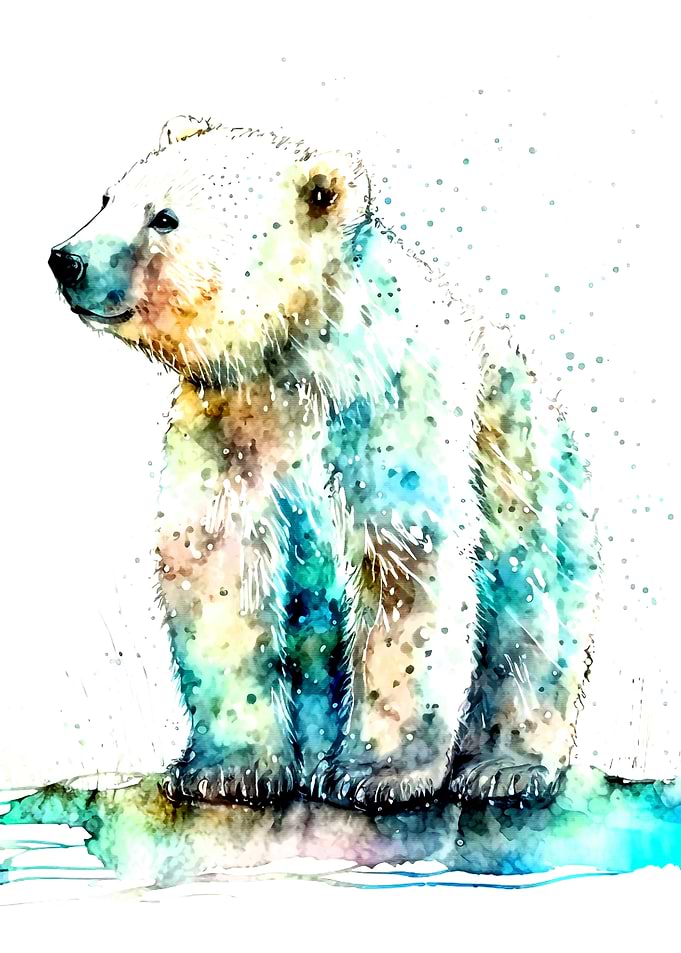 Polar Bear