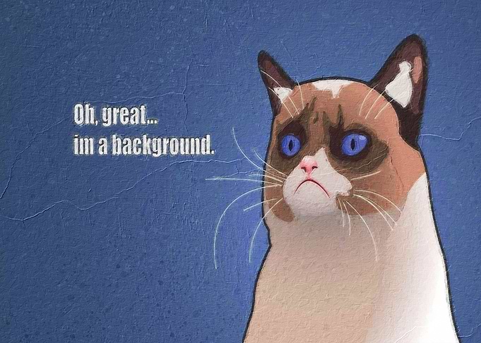Cat meme
