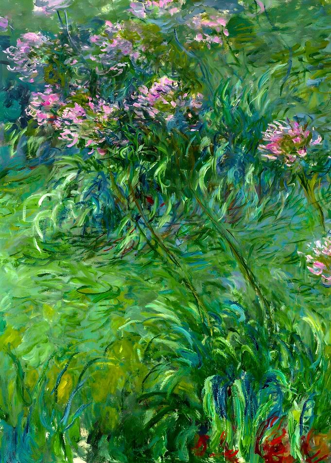 Claude Monet Agapanthus