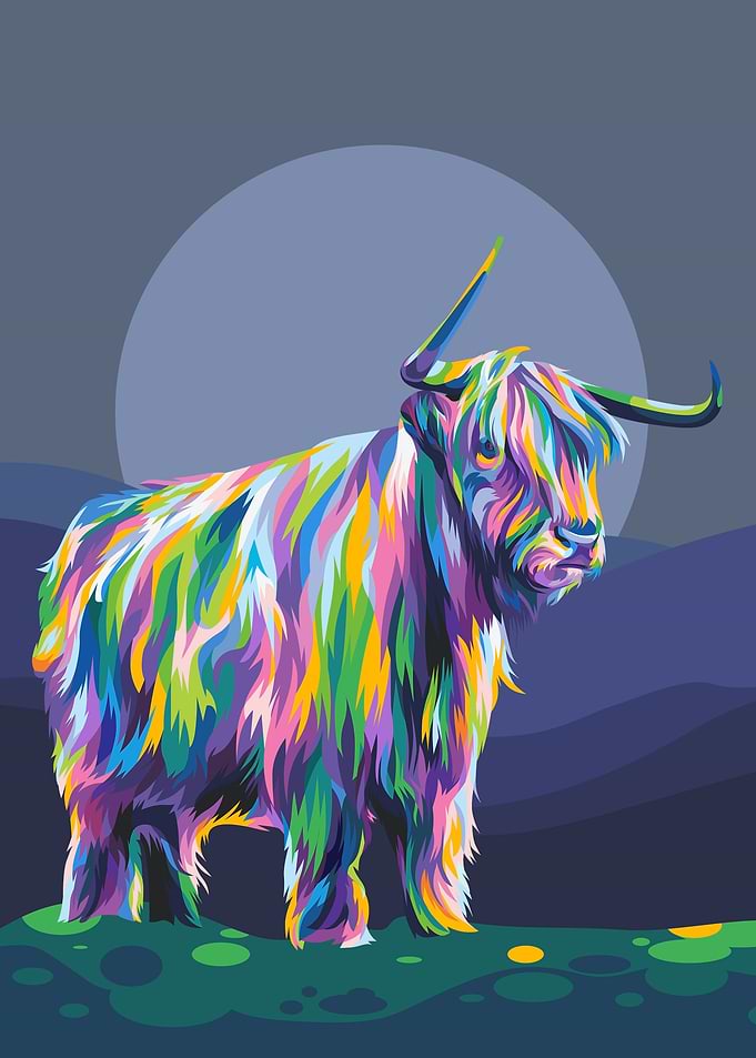 Highland Cattle