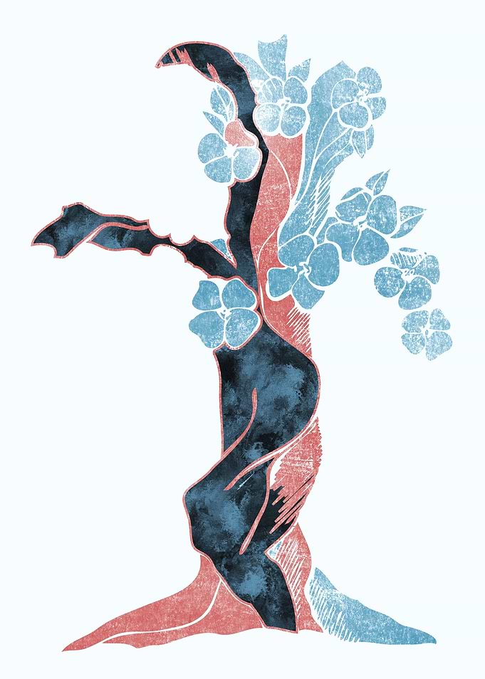 Tree Blossom