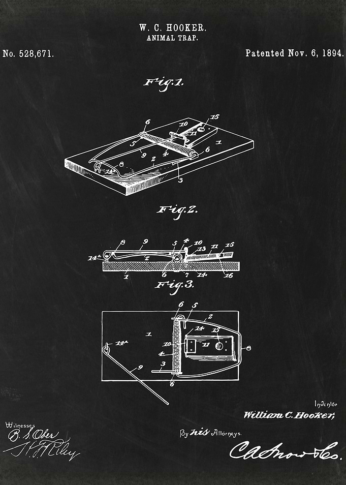 Animal Trap patent