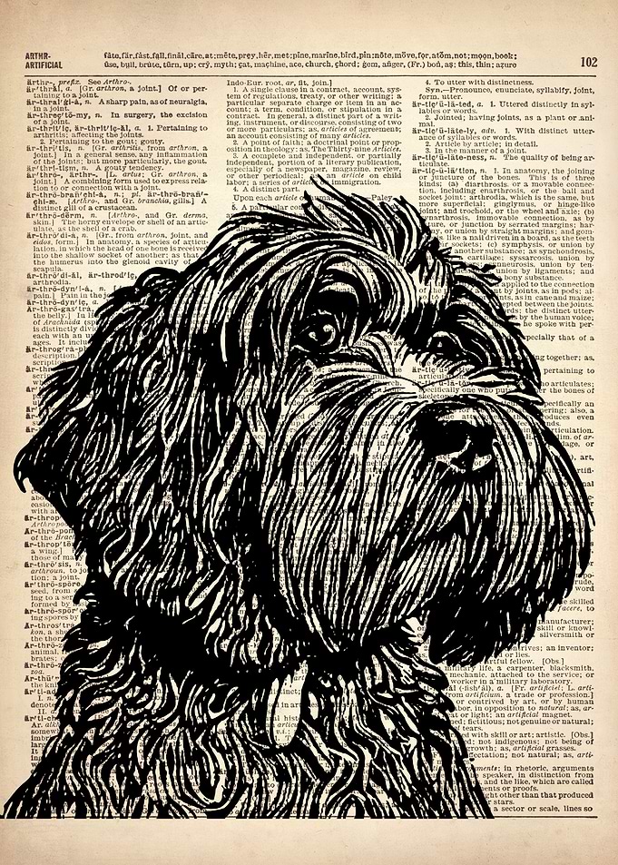 Cockapoo dog art