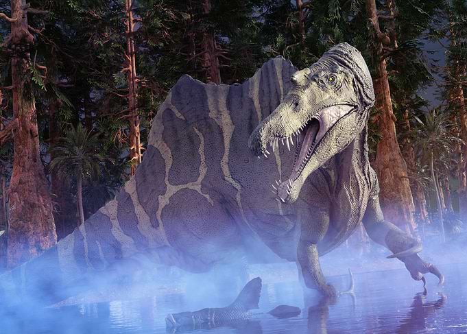 Spinosaurus dinosaur