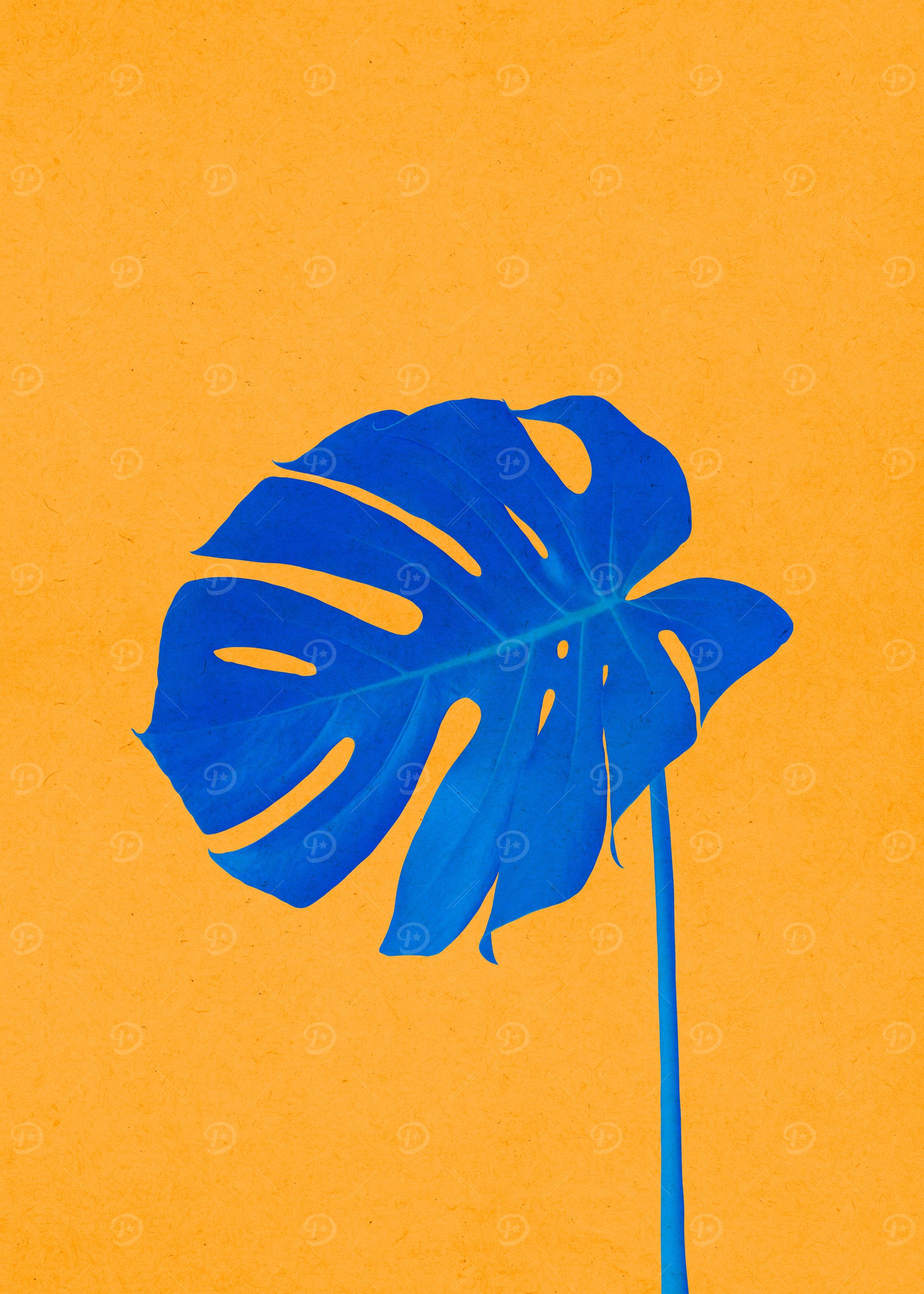 Floral composition 8