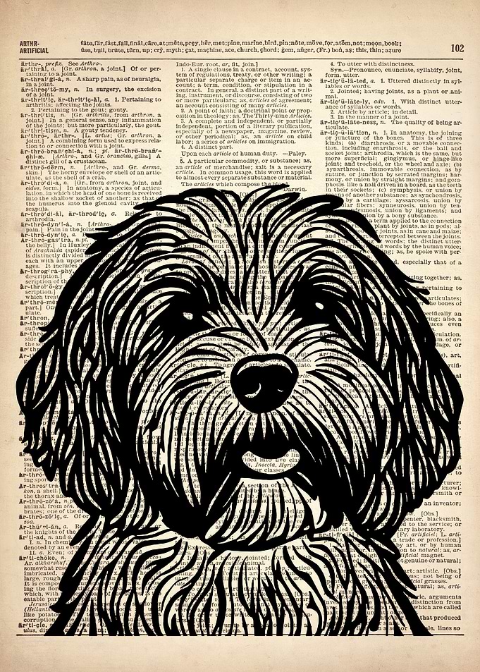 Cockapoo dog art