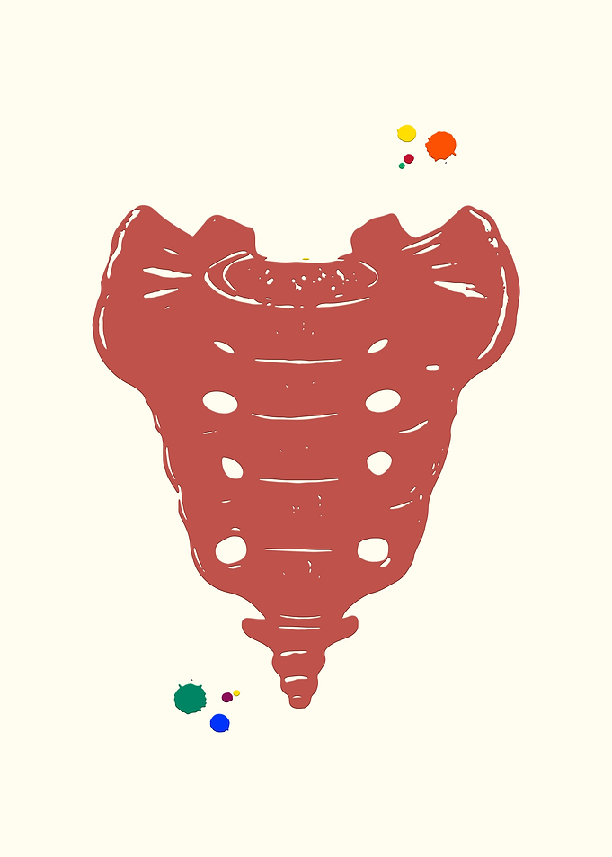 Sacrum bone