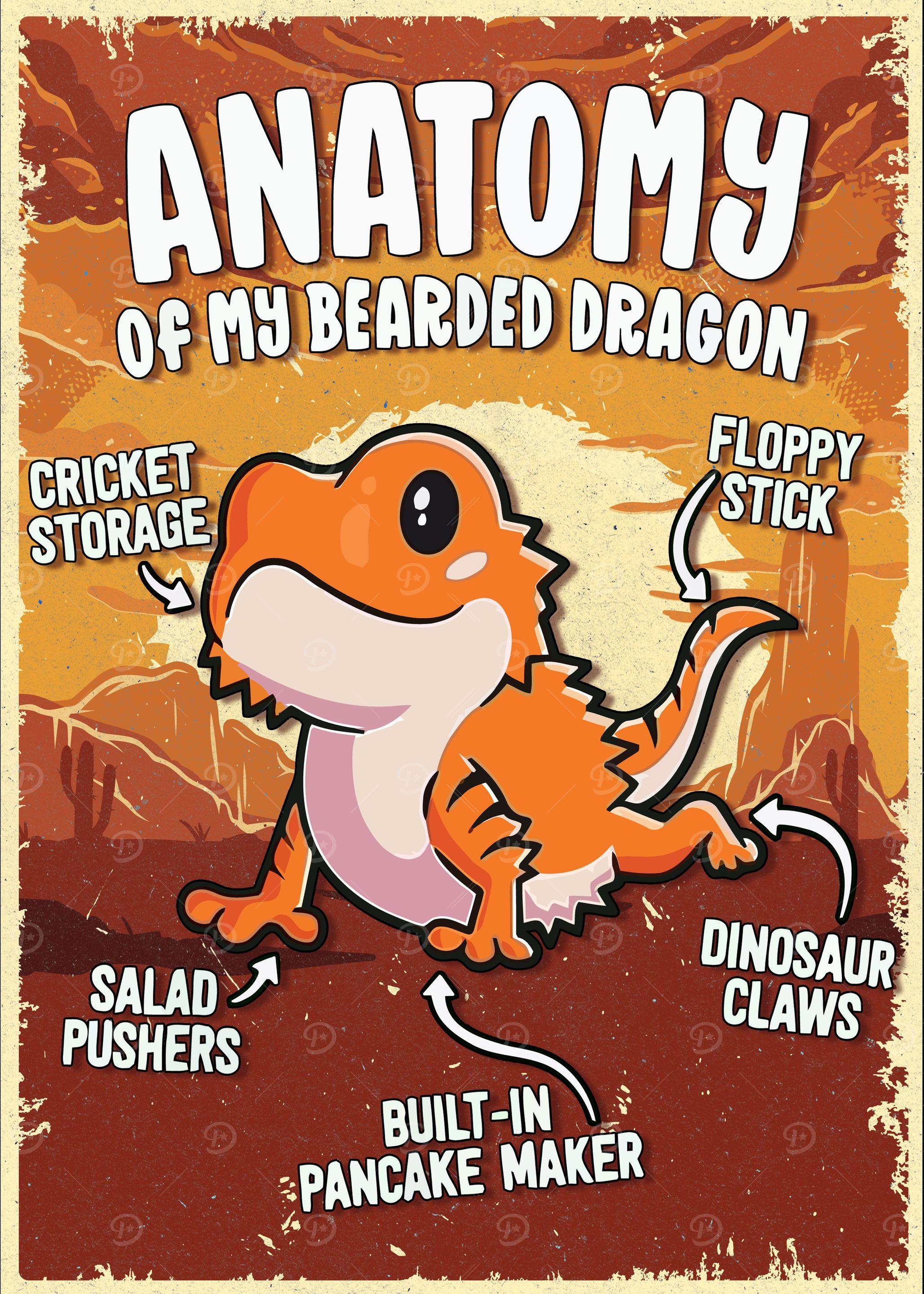 Anatomy Of Bearded Dragon