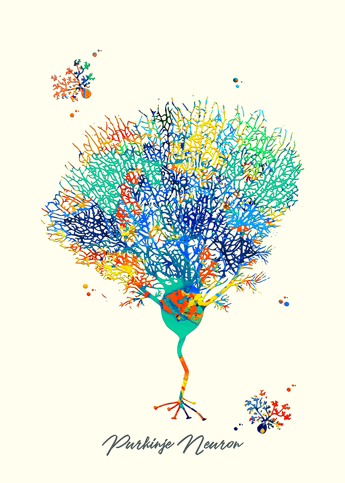 Purkinje Neuron