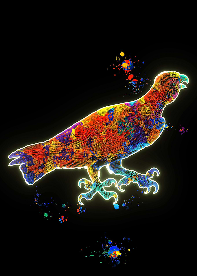 Eagle
